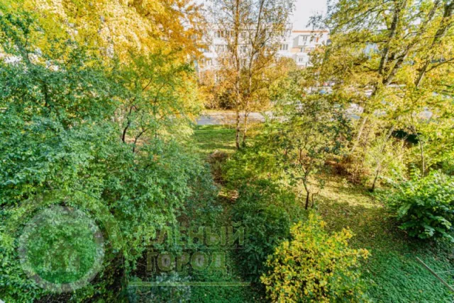 2-комнатная квартира 45 кв.м. Светлогорск г., Мичурина ул., 1