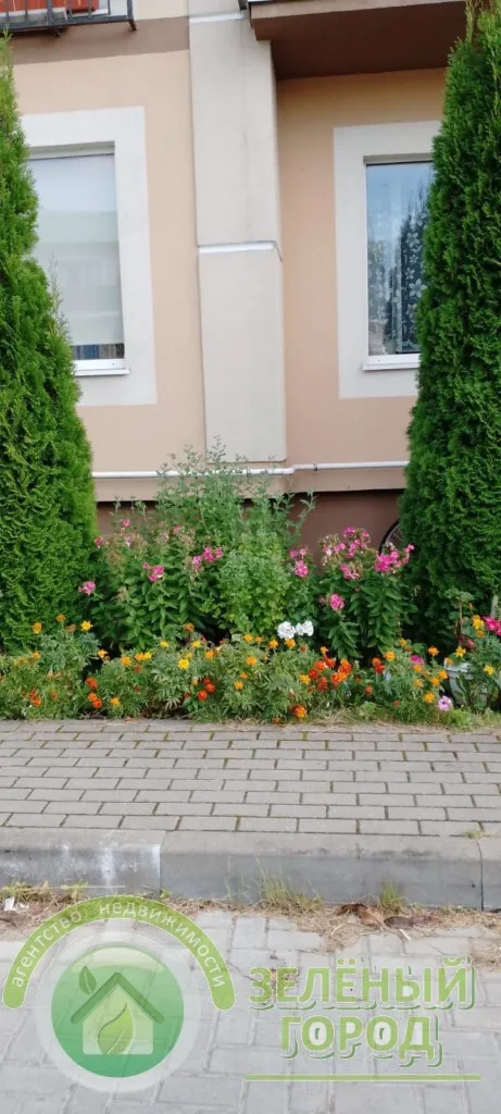 1-комнатная квартира 29 кв.м. Зеленоградск г., Ясная ул., 12