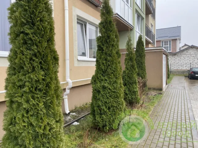 1-комнатная квартира 29 кв.м. Зеленоградск г., Ясная ул., 12