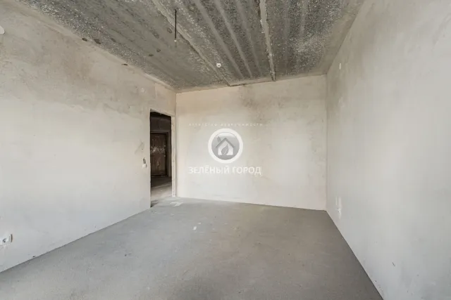 4-комнатная квартира 164.1 кв.м. Свободное п., АНевского ул., 192, к 2