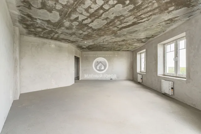 4-комнатная квартира 164.1 кв.м. Свободное п., АНевского ул., 192, к 2