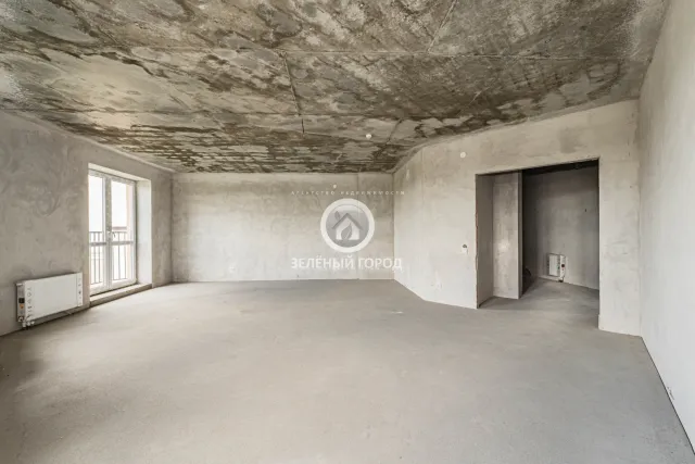 4-комнатная квартира 164.1 кв.м. Свободное п., АНевского ул., 192, к 2