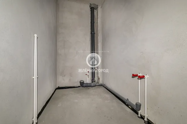 4-комнатная квартира 164.1 кв.м. Свободное п., АНевского ул., 192, к 2