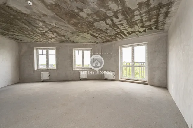 4-комнатная квартира 164.1 кв.м. Свободное п., АНевского ул., 192, к 2