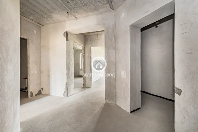 4-комнатная квартира 164.1 кв.м. Свободное п., АНевского ул., 192, к 2