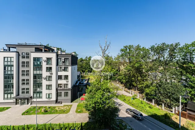 1-комнатная квартира 50.1 кв.м. Светлогорск г., Сосновая ул., 8