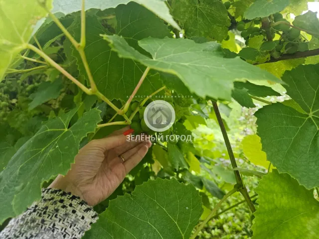 2-комнатная квартира 55.4 кв.м. Железнодорожный п.г.т., Лесная ул., 2