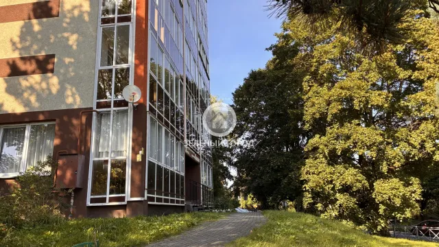 студия 30 кв.м. Светлогорск г., Пригородная ул., 1, к 2