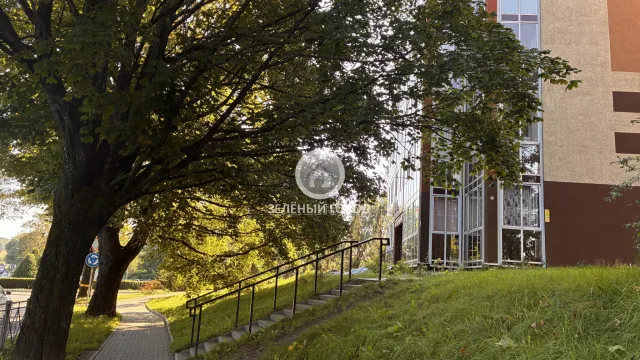 студия 30 кв.м. Светлогорск г., Пригородная ул., 1, к 2