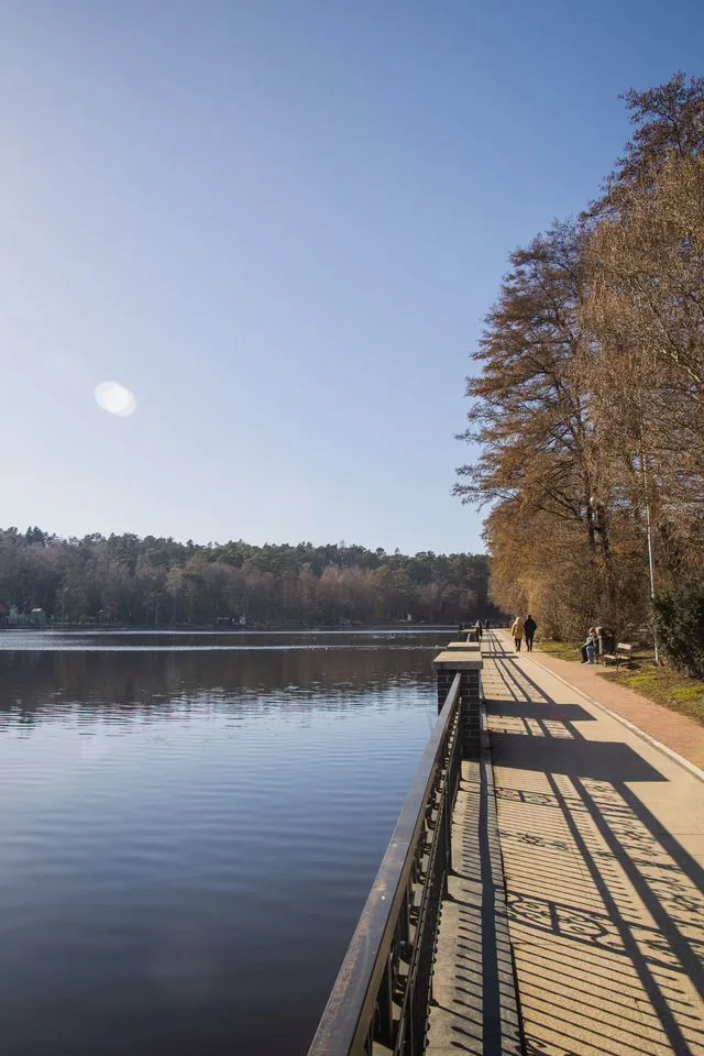 2-комнатная квартира 42.2 кв.м. Светлогорск г., Гагарина ул., 1 (фото 22 из 24)