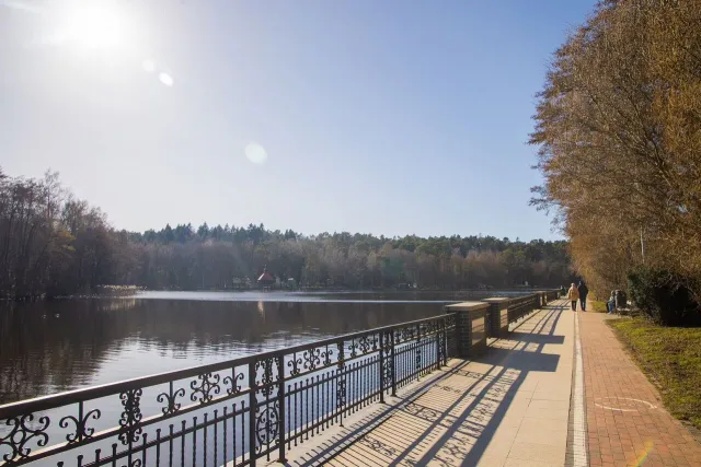 2-комнатная квартира 42.2 кв.м. Светлогорск г., Гагарина ул., 1 (фото 23 из 24)