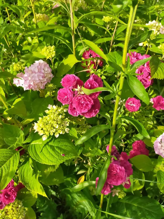 3-комнатная квартира 95 кв.м. Гурьевск г., Степной пер., 13 (фото 31 из 33)