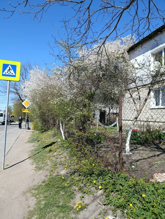 2-комнатная квартира 52 кв.м. Гурьевск г., Советская ул., 10, литера а (фото 2 из 18)