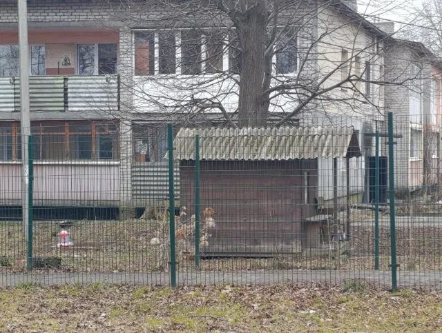 2-комнатная квартира 52 кв.м. Гурьевск г., Советская ул., 10, литера а (фото 1 из 18)