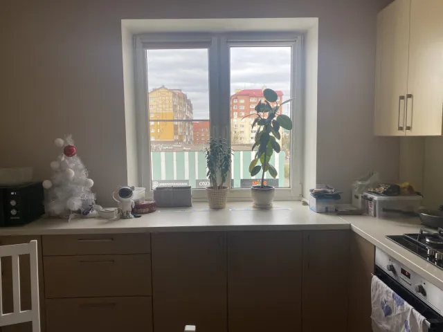 2-комнатная квартира 55.4 кв.м. Зеленоградск г., Окружная ул., 9 (фото 3 из 23)