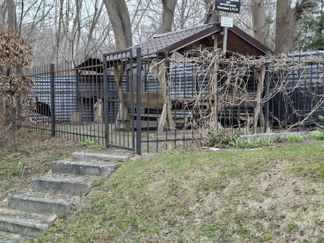 1-комнатная квартира 37.1 кв.м. Светлогорск г., Сосновая ул., 13 (фото 18 из 19)