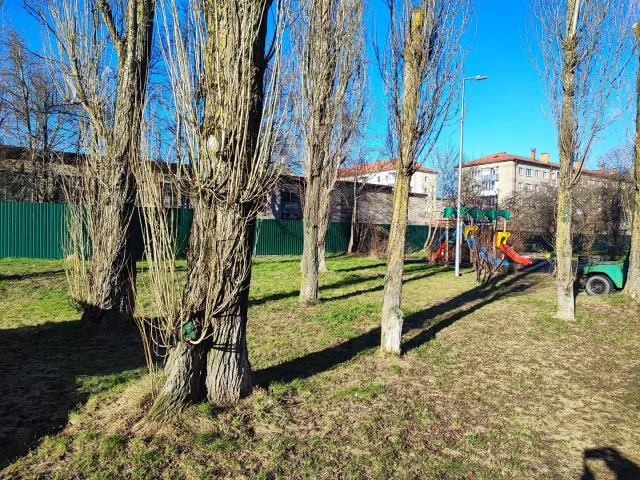 2-комнатная квартира 45 кв.м. Зеленоградск г., Сибирякова ул., 16 (фото 23 из 24)