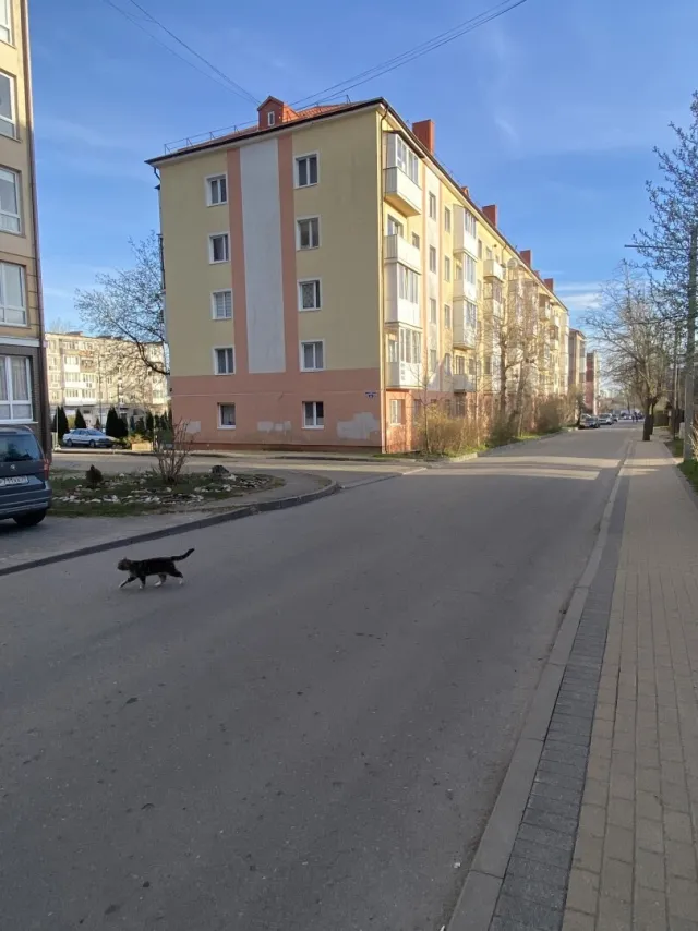 1-комнатная квартира 30.7 кв.м. Зеленоградск г., Сибирякова ул., 9 (фото 1 из 27)