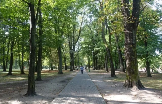 3-комнатная квартира 49.9 кв.м. Калининград г., З. Космодемьянской ул., 23 (фото 23 из 23)