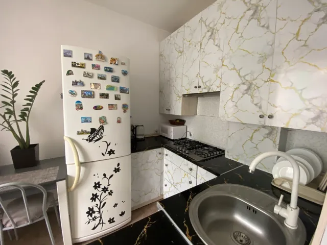 1-комнатная квартира 46.9 кв.м. Зеленоградск г., 4 (фото 5 из 23)