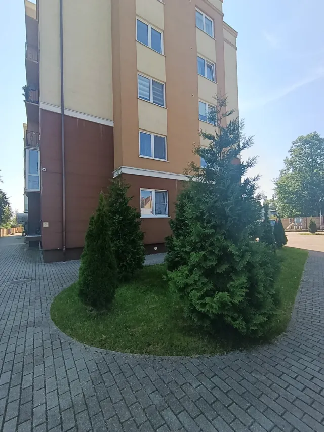 1-комнатная квартира 38 кв.м. , Россия, Калининградская область, Гурьевский район, Гурьевск г., Заречная ул., 28 (фото 21 из 21)