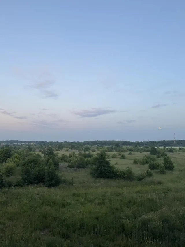 1-комнатная квартира 35.5 кв.м. Пионерский г., Гептнера ул., 21 (фото 16 из 16)