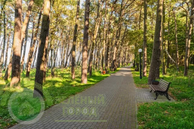 3-комнатная квартира 130 кв.м. Пионерский г., Пионерская ул., 6Б (фото 17 из 50)
