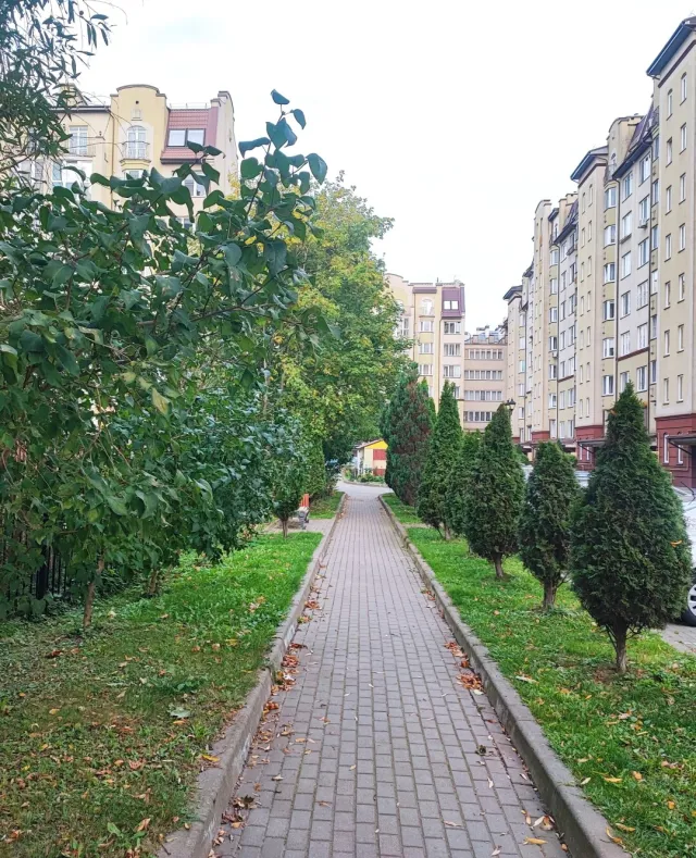 1-комнатная квартира 41.1 кв.м. Зеленоградск г., Московская ул., 60 (фото 2 из 29)