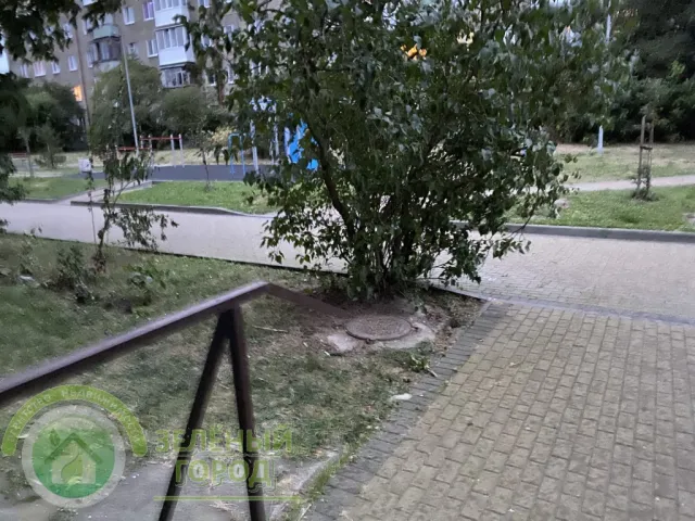 3-комнатная квартира 51 кв. м Зеленоградск, улица Сибирякова,25