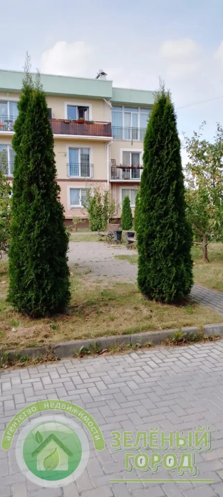 1-комнатная квартира 29 кв. м Зеленоградск, Ясная улица,12
