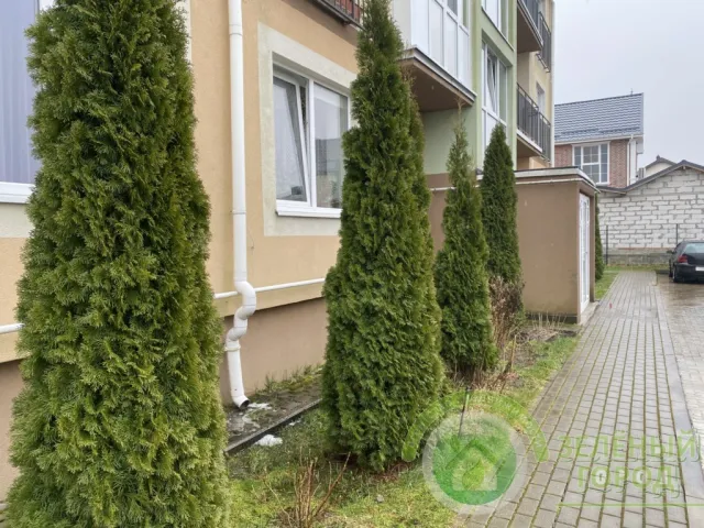 1-комнатная квартира 29 кв. м Зеленоградск, Ясная улица,12