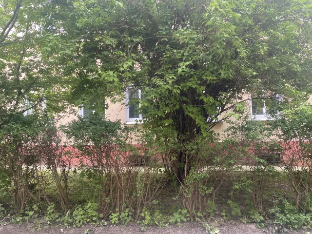 3-комнатная квартира 97 кв. м Калининград, Красная улица,7