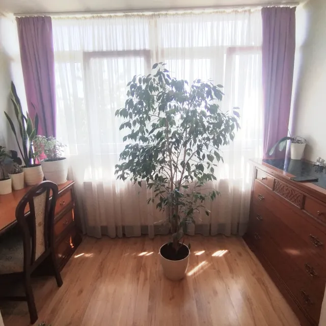 1-комнатная квартира 42 кв. м Гурьевск, Садовая улица,17А