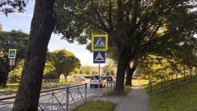 студия 30 кв. м Светлогорск, Пригородная улица,1к2