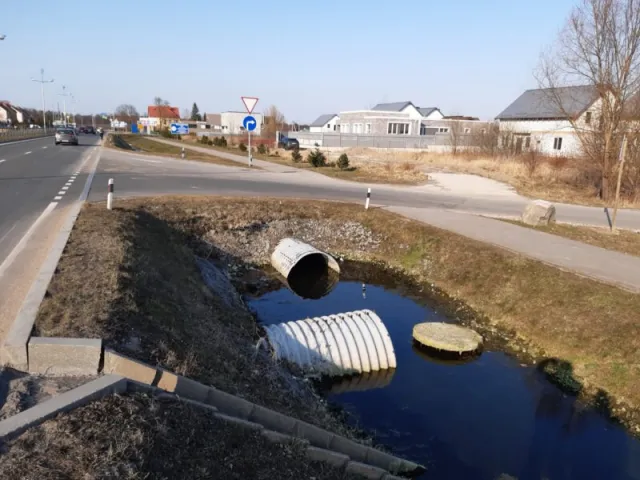 Участок 600 соток  Сосновка п. 6Б