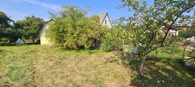 Участок 5 соток  Пионерский г. Центральный проезд