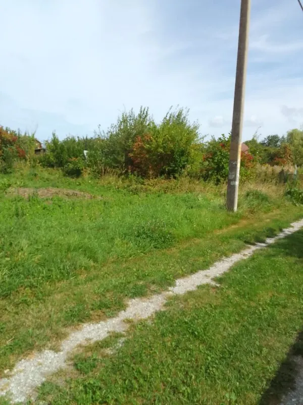 Участок 4 сотки  Сосновка снт