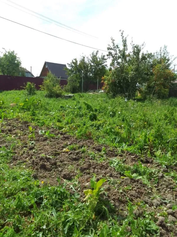 Участок 4 сотки  Сосновка снт