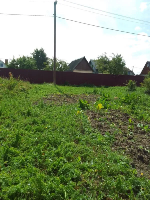 Участок 4 сотки  Сосновка снт