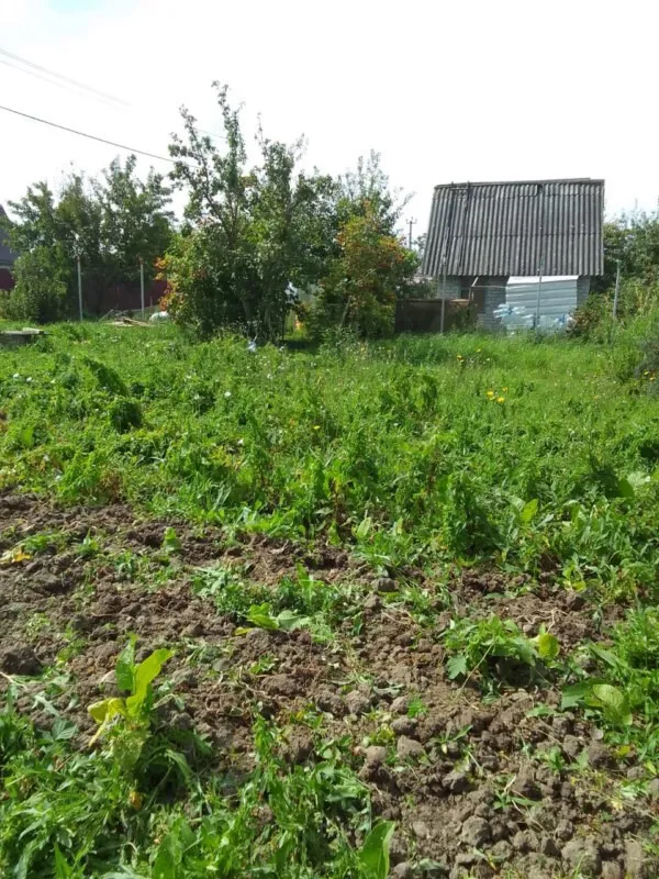 Участок 4 сотки  Сосновка снт