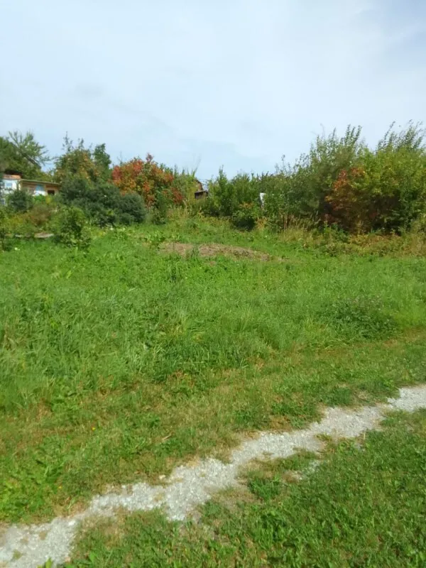 Участок 4 сотки  Сосновка снт