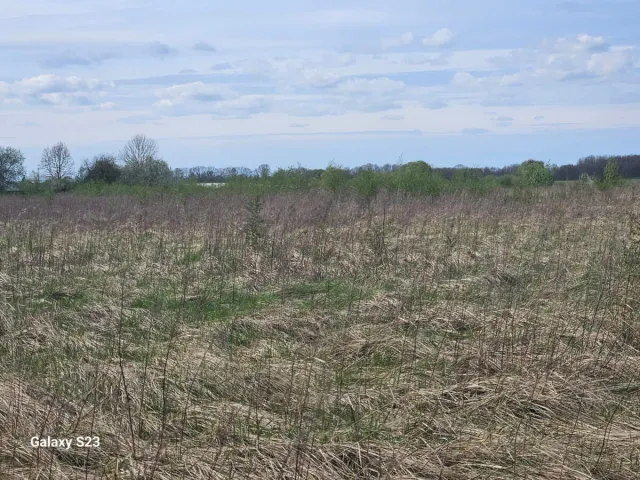 Участок 11 соток Доброе п.  (фото 4 из 5)