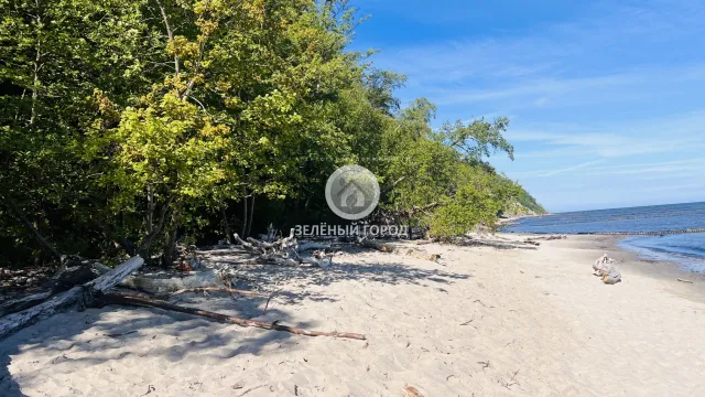 Участок 4 сотки  Светлогорск г. Кольцевая ул.