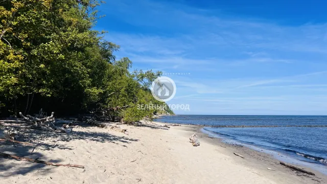 Участок 4 сотки  Светлогорск г. Кольцевая ул.