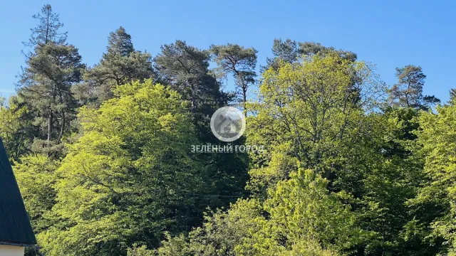 Участок 4 сотки  Светлогорск г. Кольцевая ул.