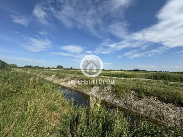 Участок 6 соток  Голубево тер. СНТ Осиновый проезд