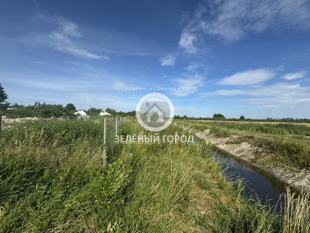 Участок 6 соток  Голубево тер. СНТ Осиновый проезд