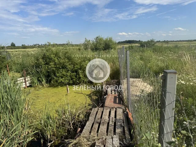 Участок 6 соток  Голубево тер. СНТ Осиновый проезд