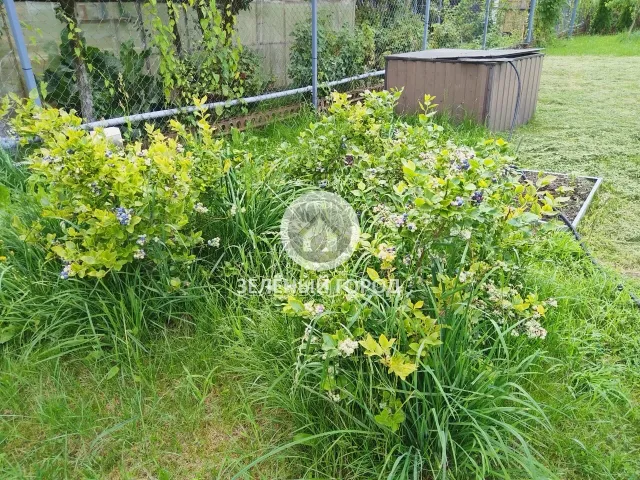 Участок 8.7 соток  Прибой тер. СНТ Лимонная ул., 22