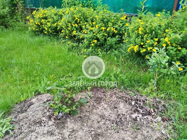 Участок 8.7 соток  Прибой тер. СНТ Лимонная ул., 22